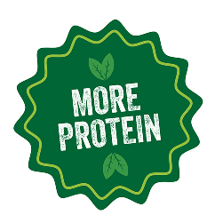 more protein